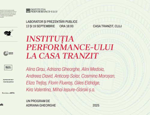 Instituția Performance-ului la Casa Tranzit
