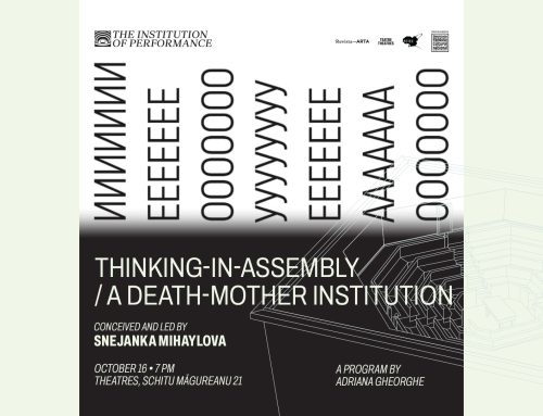 THINKING-IN-ASSEMBLY / A DEATH MOTHER INSTITUTION – Snejanka Mihaylova
